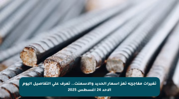 تغيرات مفاجئة تهز أسعار الحديد والأسمنت.. تعرف على التفاصيل اليوم الأحد 24 أغسطس 2025